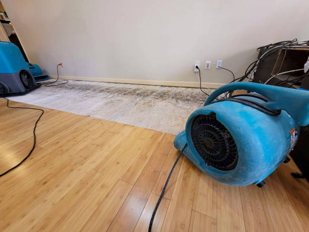 Professional Water Extraction technician working in Poolesville, MD